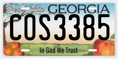 GA license plate COS3385