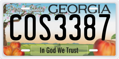 GA license plate COS3387