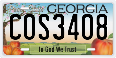 GA license plate COS3408