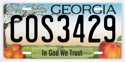 GA license plate COS3429