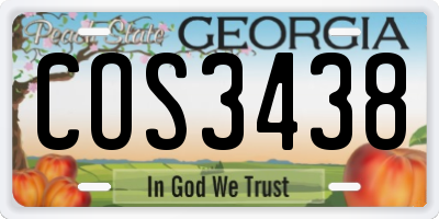 GA license plate COS3438