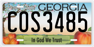 GA license plate COS3485