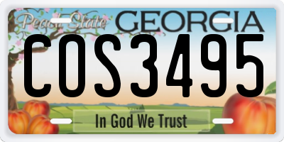 GA license plate COS3495