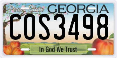GA license plate COS3498