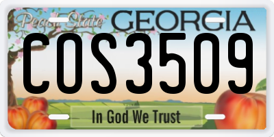 GA license plate COS3509