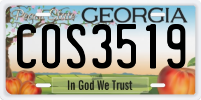 GA license plate COS3519