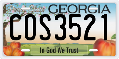 GA license plate COS3521