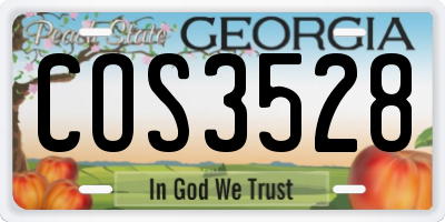 GA license plate COS3528