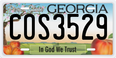 GA license plate COS3529