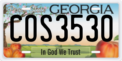 GA license plate COS3530