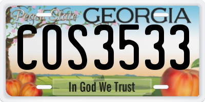 GA license plate COS3533