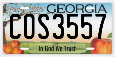 GA license plate COS3557