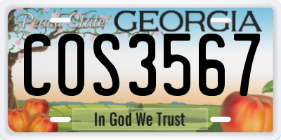 GA license plate COS3567