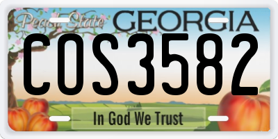 GA license plate COS3582