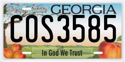 GA license plate COS3585