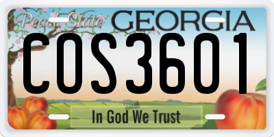 GA license plate COS3601