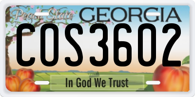 GA license plate COS3602