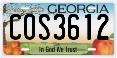 GA license plate COS3612