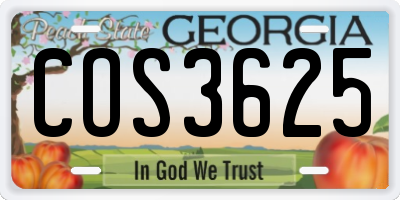 GA license plate COS3625