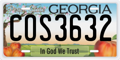 GA license plate COS3632