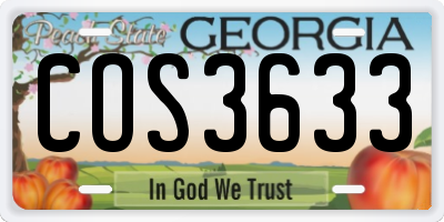 GA license plate COS3633