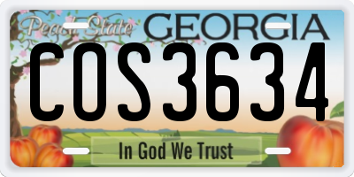 GA license plate COS3634