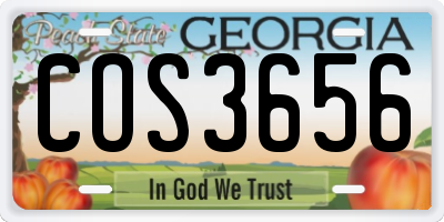 GA license plate COS3656