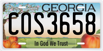GA license plate COS3658
