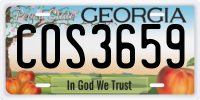 GA license plate COS3659
