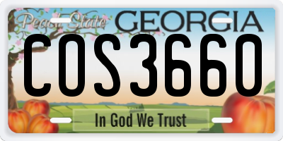 GA license plate COS3660