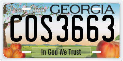 GA license plate COS3663