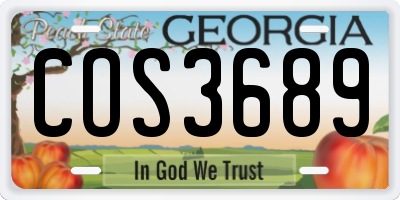 GA license plate COS3689
