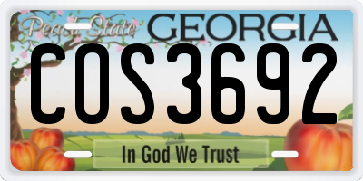 GA license plate COS3692