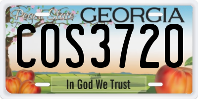 GA license plate COS3720