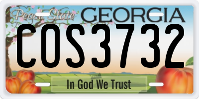 GA license plate COS3732