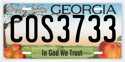 GA license plate COS3733