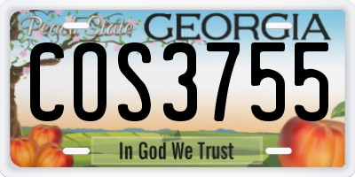 GA license plate COS3755