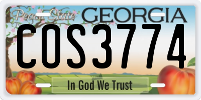 GA license plate COS3774