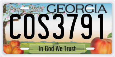 GA license plate COS3791