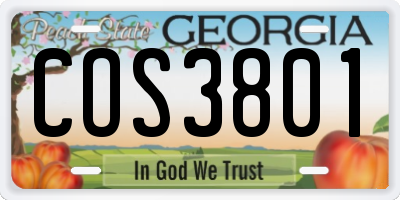 GA license plate COS3801