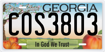 GA license plate COS3803