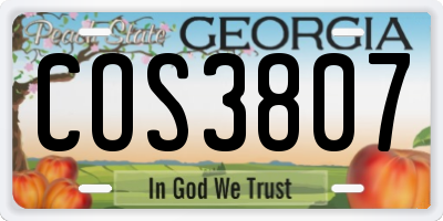 GA license plate COS3807