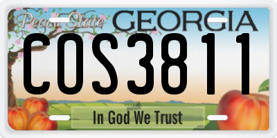 GA license plate COS3811