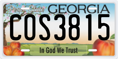 GA license plate COS3815