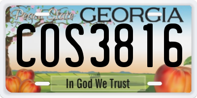 GA license plate COS3816