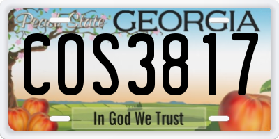 GA license plate COS3817