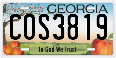 GA license plate COS3819