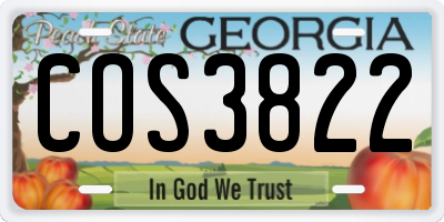 GA license plate COS3822