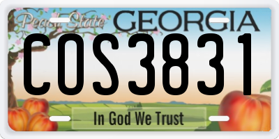 GA license plate COS3831