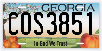 GA license plate COS3851